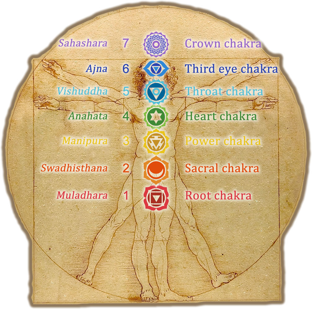 The Vetruvian Man (by Michelangelo) with the Seven main chakras depicted