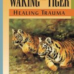 Book cover of Waking the Tiger, Healing Trauma