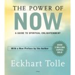 Cover of the book: The Power of the Now